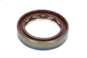 Shaft Seal, differential CORTECO 12017147B for IVECO TRAKKER I 7.8 2006-2007