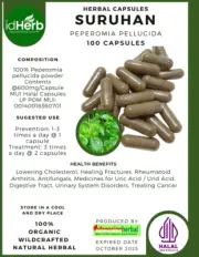 CAPSULE SURUHAN PEPEROMIA PELLUCIDA NATURAL ORGANIC HERBAL HERBS
