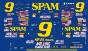 #9 Lake Speed SPAM Thunderbird 1/64th Scale WATERSLIDE DECALS