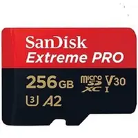 在飛比找PChome24h購物優惠-SanDisk 256GB 256G microSDXC【2