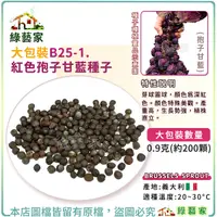 在飛比找Yahoo奇摩購物中心優惠-【綠藝家】大包裝B25-1.紅色孢子甘藍種子0.9克(約20