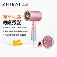 在飛比找蝦皮購物優惠-ZHIBAI直白 沙龍級吹風機 負離子大功率 家用吹風筒 三