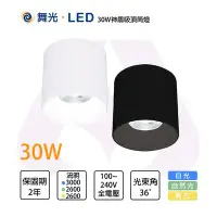 在飛比找Yahoo!奇摩拍賣優惠-舞光 含稅 LED 神盾 筒燈 30W 高演色 商空適用照明