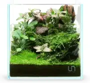 Ultra Clear Rimless Aquarium - Low Iron Glass Fish Tank with 45° Mitered Edges,
