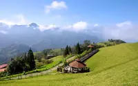 在飛比找KLOOK 客路優惠-清境農場包車一日遊：清境農場＆合歡山（台中出發)