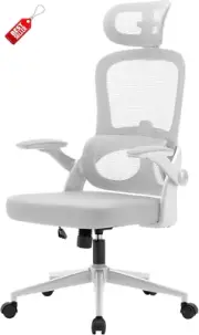 M102C Ergonomic Office Chair High-Back Computer Chair w/ Dual Back, Lumbar Pillo