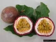 Passion Fruit Supersweet 96A Vine - Passiflora edulis x