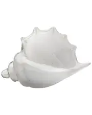 Jamie Young Triton Shell