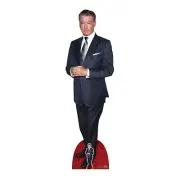 Pierce Brosnan Blue Suit Lifesize Cardboard Cutout with Free Mini Standee