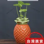 台灣熱賣 『花瓶不含花』 綠蘿水培 花盆 器皿 花瓶透明玻璃 插花創意水養植物花器客廳裝飾 擺件144