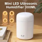 Living Today Mini LED Ultrasonic Humidifier 300ML