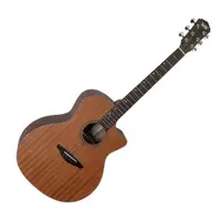 在飛比找momo購物網優惠-【Veelah】VGACMM 41吋 民謠吉他(原廠公司貨 