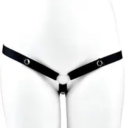 Chastity Belts Bondage Training Supplies Adult SM Adjustable Men's Chastity Belt Anti-Fall Auxiliary Chastity Cage Condom Chastity Lock Chastity Device Penis Ring for Couples Chastity Belt