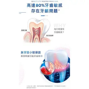 Oral-B 歐樂B 專業護理牙膏系列 牙齦修護/抗敏護齦 90g 多款可選 大樹