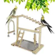 RoseFlower Parrots Bird Playground Wooden Play Stand Birdcage Playstand with 2 Feeder Cup Stainless Steel Tray Swing Perch Play Gym Playpen Ladder Bird Toys, Bird Table Stand for Parakeet Birds