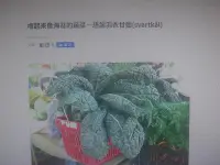 在飛比找Yahoo!奇摩拍賣優惠-【大包裝蔬菜種子L325】恐龍葉羽衣甘藍~~植株約30公分高