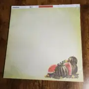 Watermelon scrap book paper 25 pack with lines on back for recipes