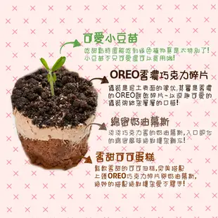 【木匠手作】小豆苗盆栽蛋糕 (7.5折)