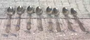 Set of ANTOINETTE PRESENT By Fifth Avenue Stainless Flatware Japan - 8 Teaspoons