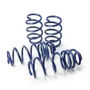 H&R lowering springs 29091-1 fits Honda Civic Type R sport springs