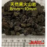 印尼黑火山岩、黑火山石8～10MM（陶瓷環培菌多肉介質 仙人掌介質魚缸底砂 多肉