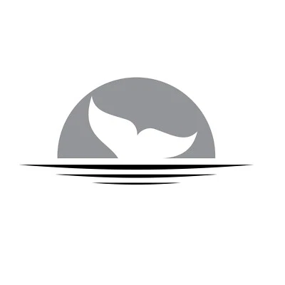 1m Large whale tail vehicle sticker decal in grey black motorhome RV camper