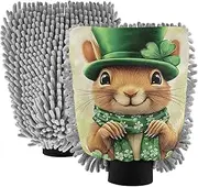 XYMZR Squirrel St Patricks Day Absorbent Microfiber Car Wash Mitt, Funny Cute Anime Scratch Free for Cars Cleaning, Home Cleaning Mitts, 2 Pack, 10.24” L x 7.09” W