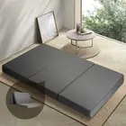 Bedra Foldable Mattress Trifold Portable Folding Sofa Bed Camping Mat Double