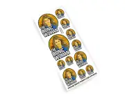 CUSTOM STICKER SET for VINTAGE BIONIC WOMAN CLASSIC LOGO