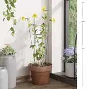 Garden Plant Stakes 20 pcs Plant Support Climbing Frame Green Steel vidaXL