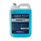 Presale Bradley Bradleycare Aqf6011 Aqua Foam and Liquid Soap Antibacterial -