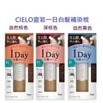 【現貨在台，當日寄出】🌞NANA極品🌈 CIELO一日白髮補染梳 遮白髮 補染棒 9ML