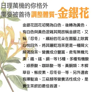 【蔘大王】金銀花鎮守茶(6gX10包/組) 防禦維持/防疫茶/草本茶包/強身補氣/增強防護《HB11》