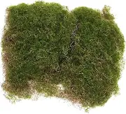 Garneck Artificial Lichen Mat for Micro Landscape Realistic Faux Moss Turf for DIY Gardening and Indoor Plants Durable Simulation Grass for Home and Garden Use