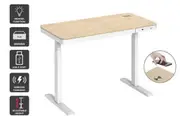 Ergolux Sorrento Electric Standing Desk with Wireless Charging 120 x 60cm (Ash/White)