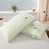 在飛比找蝦皮商城優惠-竹纖維枕頭 刺繡熊貓 高彈安睡枕 頸部保護枕頭 親膚舒適 透