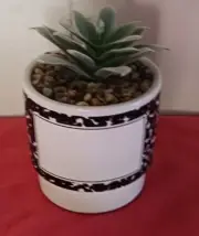 design Artificial Succulents in Ceramic potted multicolor for gift