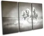 Herd Horses Animals TREBLE CANVAS WALL ART Picture Print VA