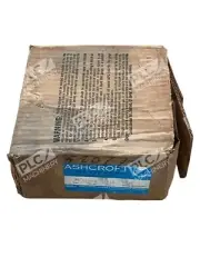 Ashcroft Dresser 250-972A Maxisafe Duragauge 1/2LC 1000# 45-1279-ASL
