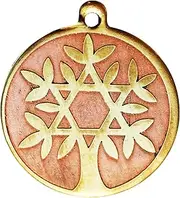 [Eastgate Resource] Tree of Life - Star Charm for Knowledge & Wisdom, Brass