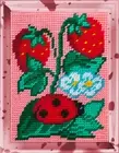 DIY Printed Tapestry kit "Strawberry", Needlepoint Kit