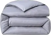 Duvet/Quilt, Silk Comforter for All Season, Long Strand Mulberry Silk Filled with Cotton Cover, Ultra Soft and Breathable Fluffy Warm, Reversible Colors (C 220x240cm(4kg))