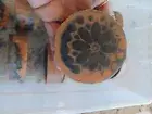 Nye's Homemade kaleidoscope unscented circular Soaps 2.3oz each