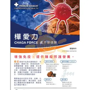 [可刷卡,免運]公司貨 健聖 CHAGA FORCE 樺愛力30顆/60顆 腫瘤照護 癌破錠/藻康留/瑞格敏/速藻醣可參