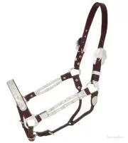 Horse Show Halter - Silver Ferrule - Dark Oil Leather - Horse Size - Lead Shank