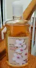 NEW Bath & and Body Works WHITE CHERRY BLOSSOM Shower Gel Body Wash 10 oz