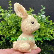 Tagua Nut Rabbit Skull Quartz Crystal Skull Hand Carved Reiki Crystal Decor 1pc