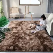 Extra Large Fluffy Area Rug, 6x9 ft Modern Indoor Carpets for Living Room
