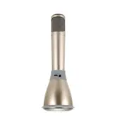 K068 2 In 1 Bluetooth Home Ktv Handheld Microphone + Speaker