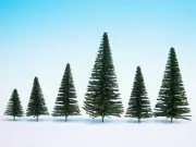 NOCH - Lot of 25 spruce trees from 5 to 14cm high - - NOC26830